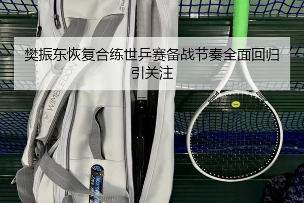 樊振东恢复合练世乒赛备战节奏全面回归引关注